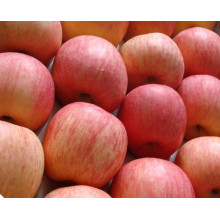 2016 Crop Fresh FUJI Apple